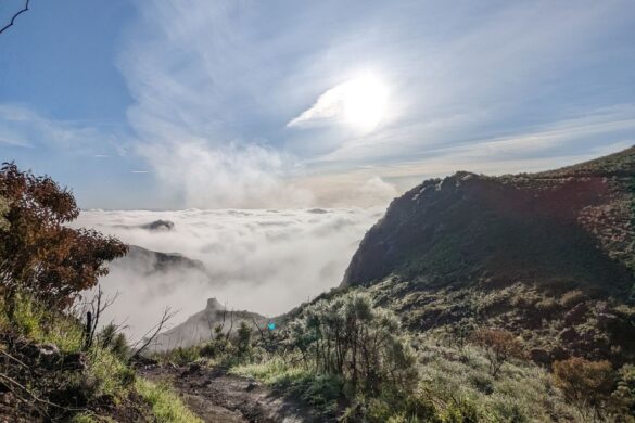 Explore Southern California's natural beauty on the Mishe Mokwa Trail to Tri-Peaks and Sandstone Peak. Experience breathtaking views, unique rock formations, and the highest point in the Santa Monica Mountains. Read our comprehensive trail review to help plan your adventure.