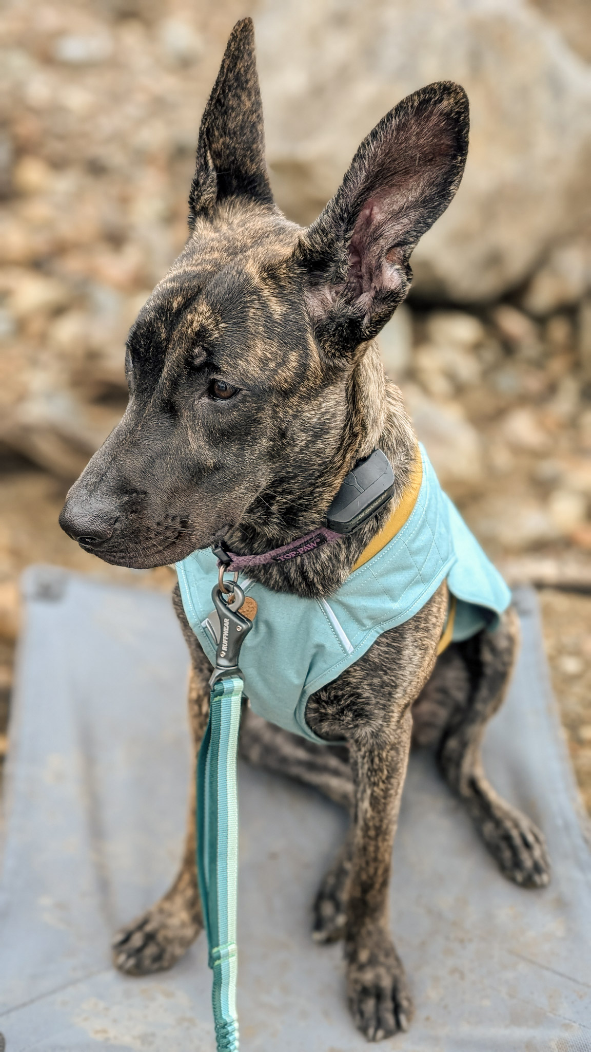 June in the Eastern Sierra 2025