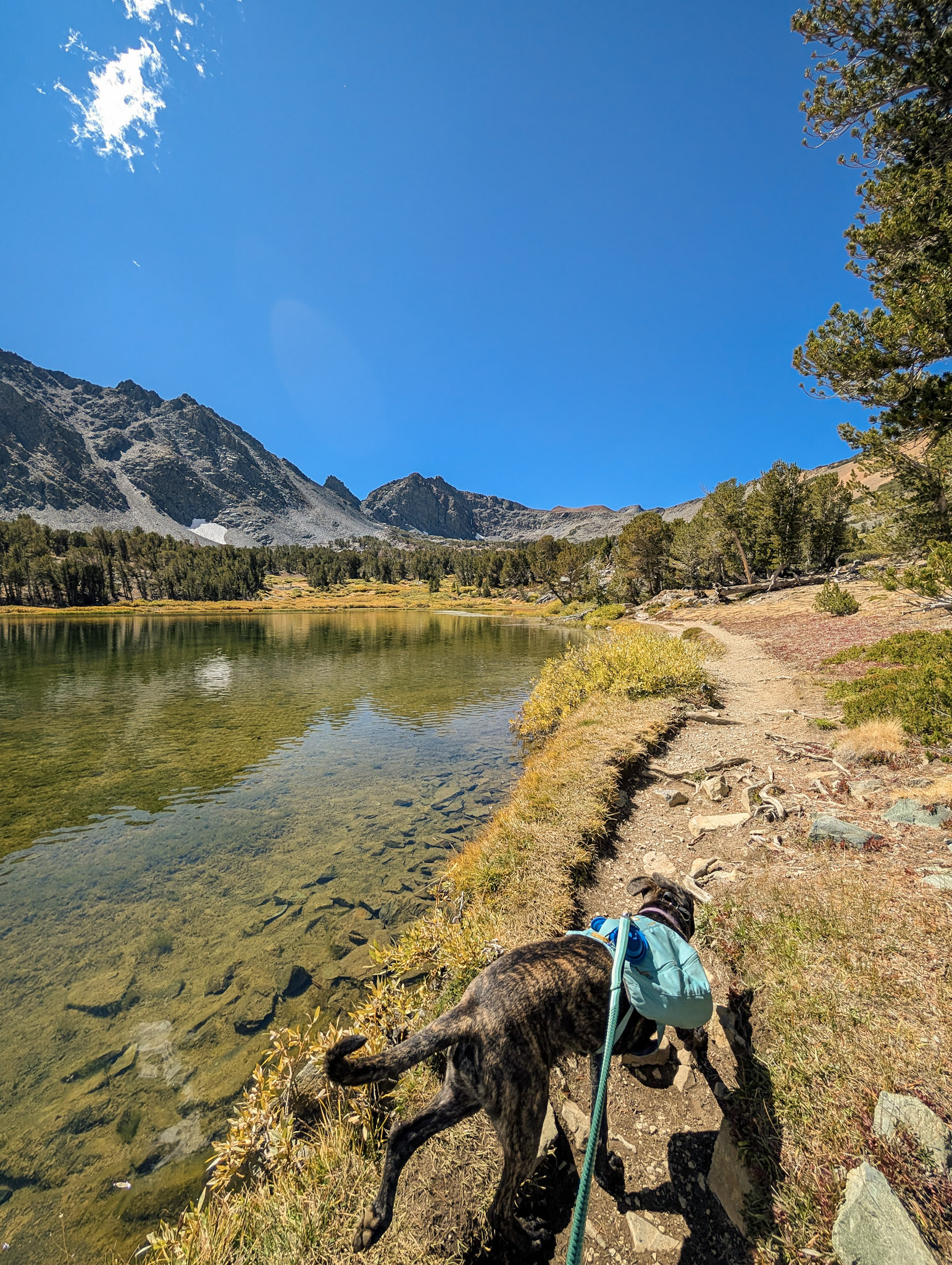 June at Lower Frog Lake Eastern Sierra 2025