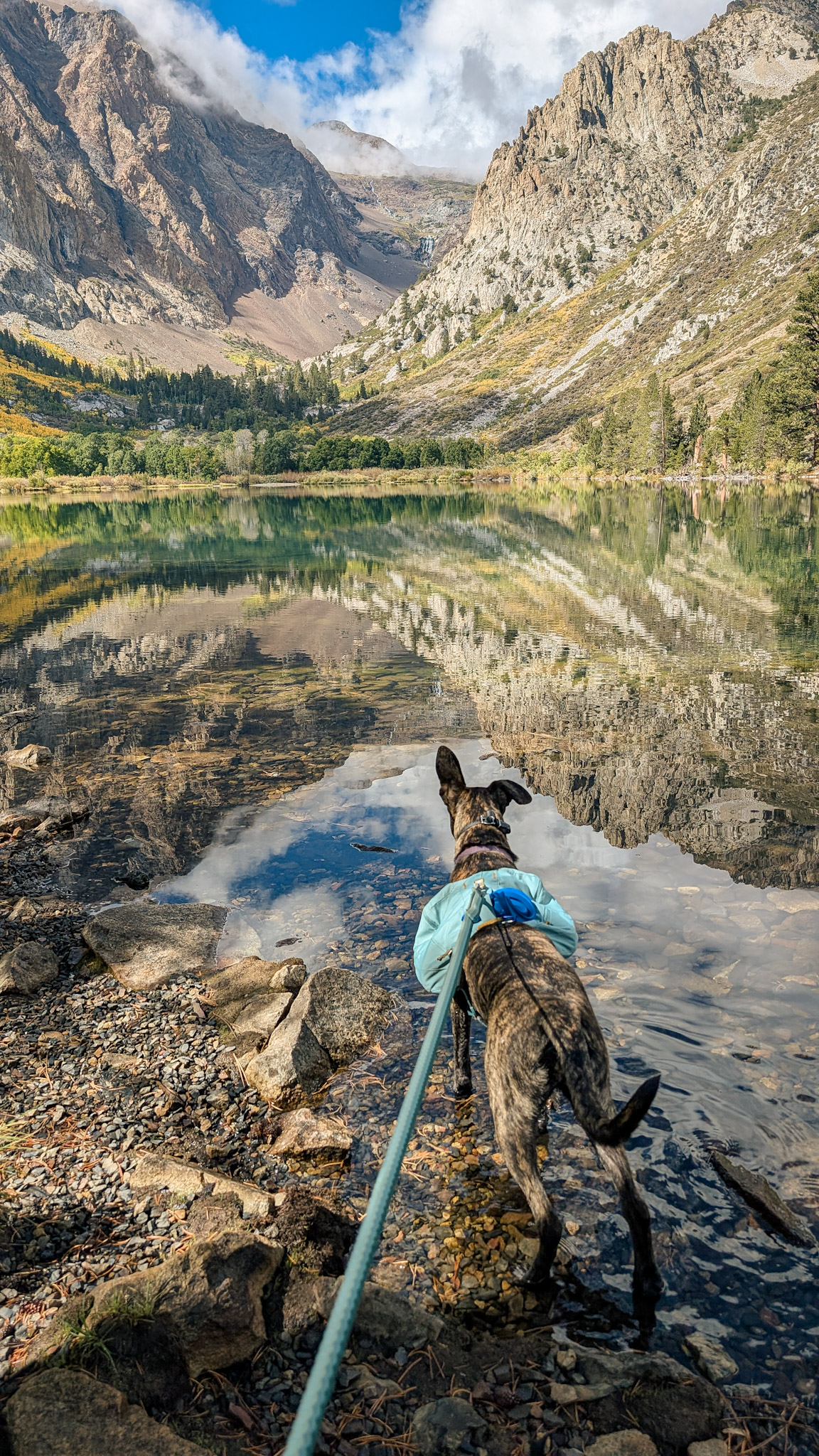 June at Parker Lake Eastern Sierra 2025