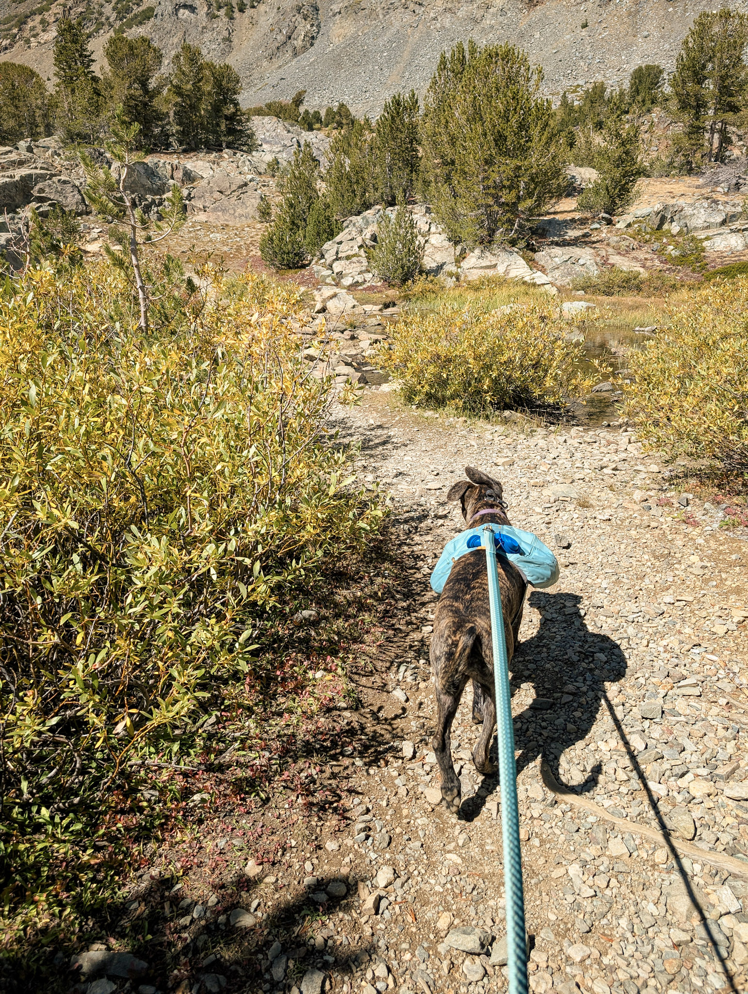 June at Upper Frog Lake Eastern Sierra 2025