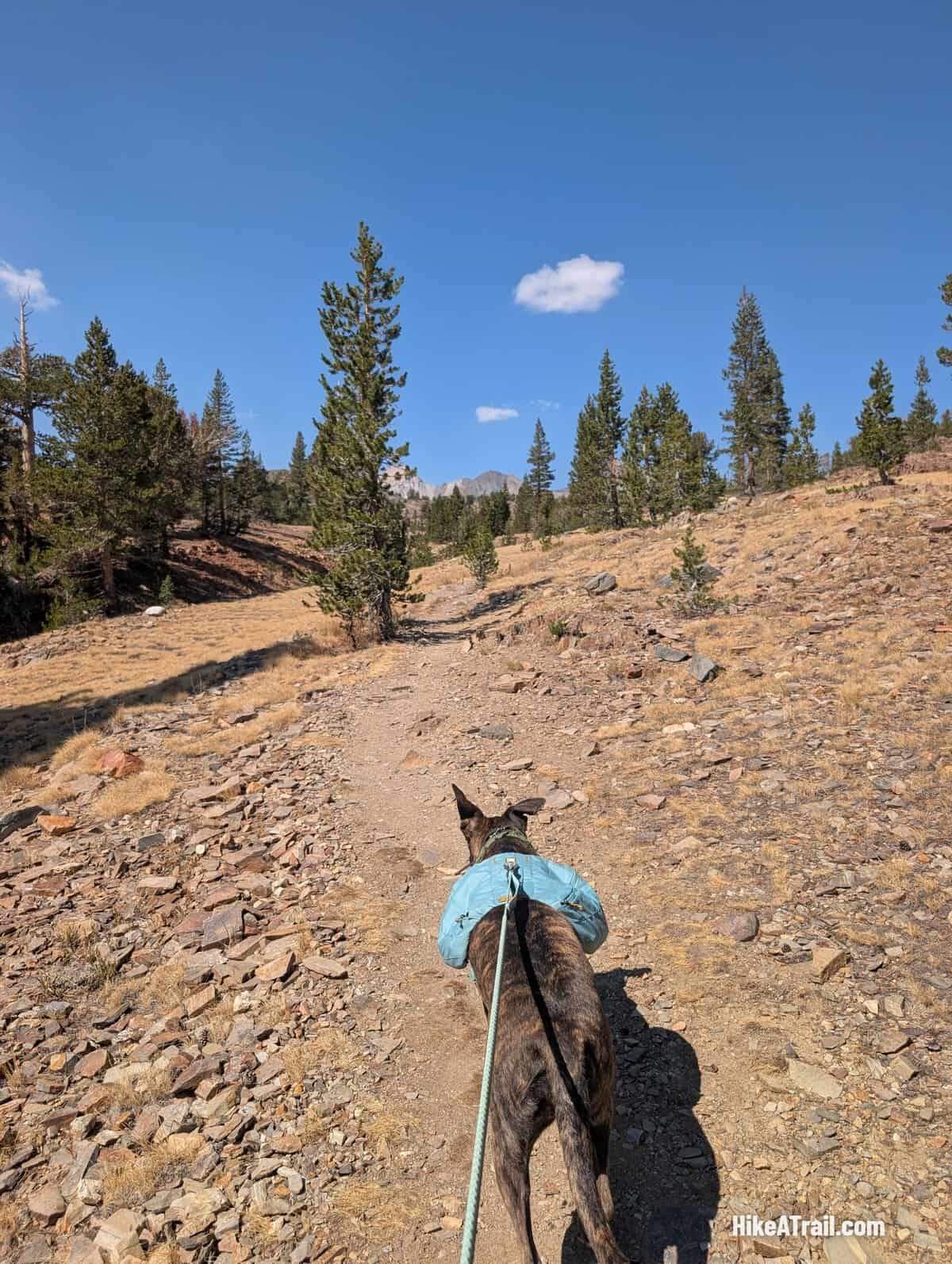 Saddlebag Lake and 20 Lakes Basin Loop trail photo
